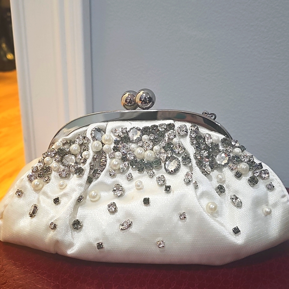 Small & shiny Menbur purse